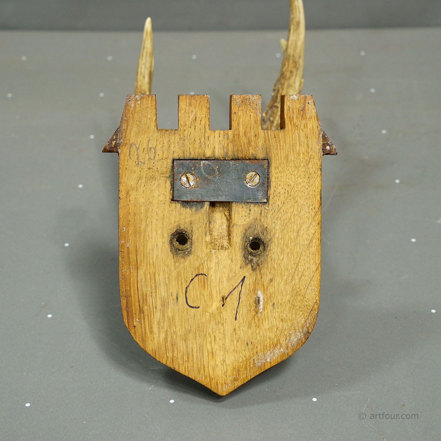 Vintage Red Deer Trophy by Franz Joseph, Prince of Thurn and Taxis, 1965