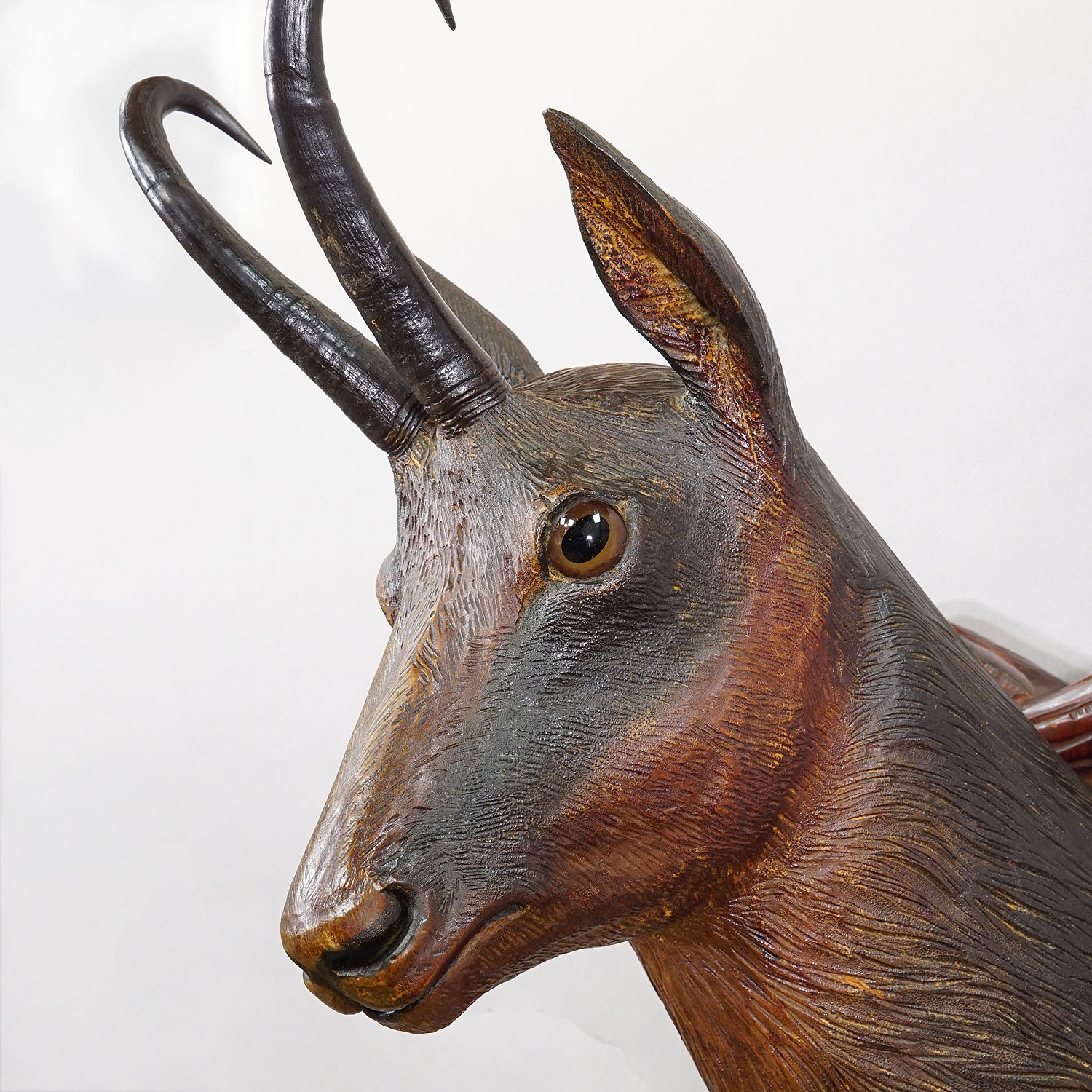 Large Naturalistic Black Forest Carved Chamois Head, ca. 1920s