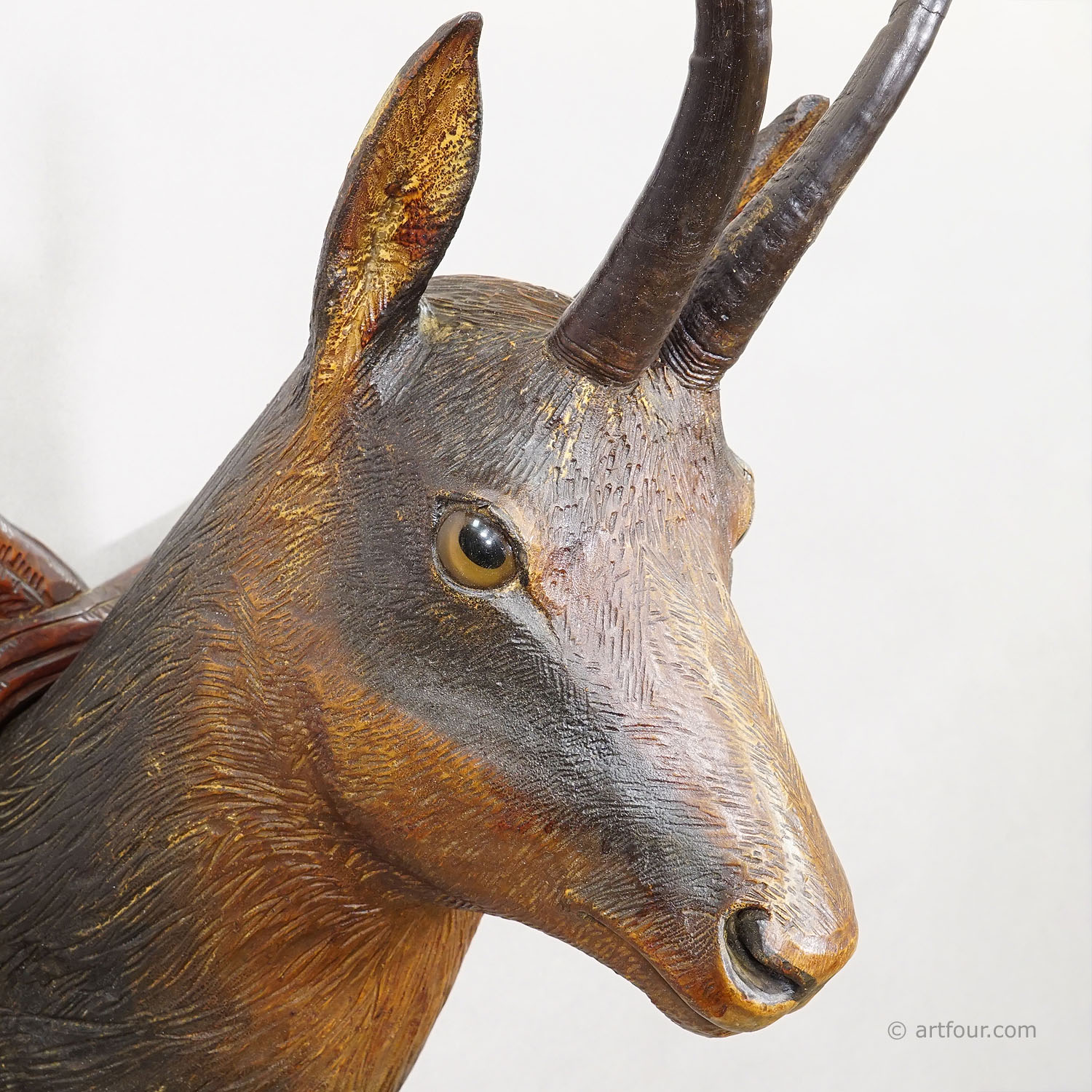 Large Naturalistic Black Forest Carved Chamois Head, ca. 1920s