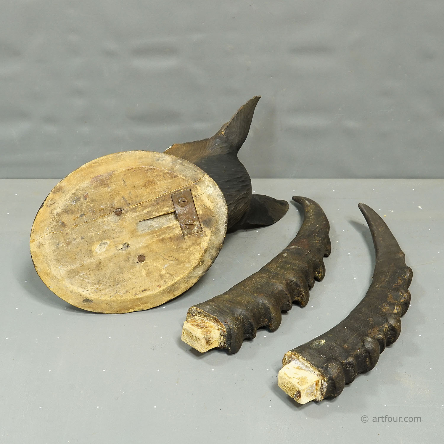 Large Naturalistic Black Forest Carved Ibex Head, ca. 1900s