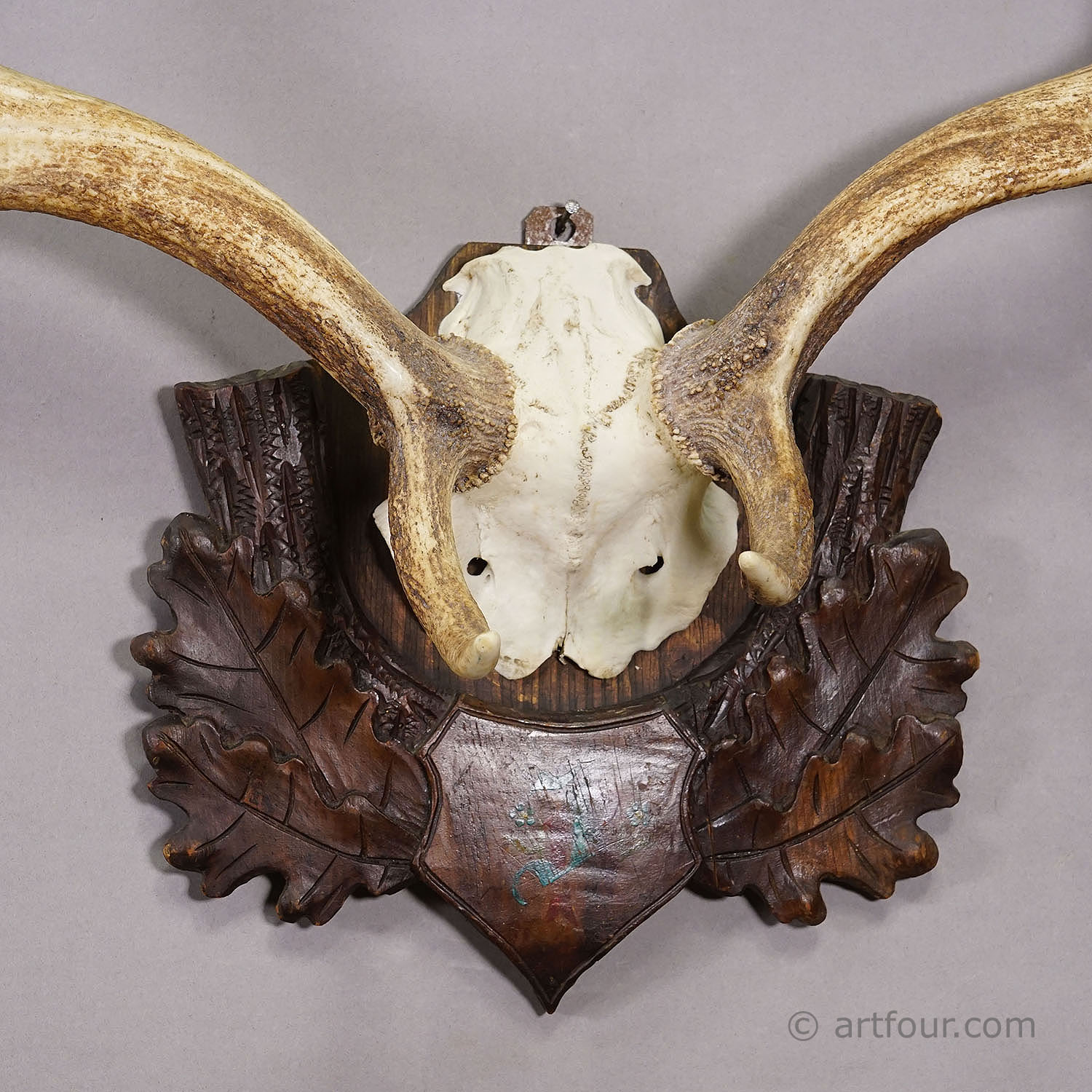 Antique Black Forest Fallow Deer Trophy, Germany ca.1900