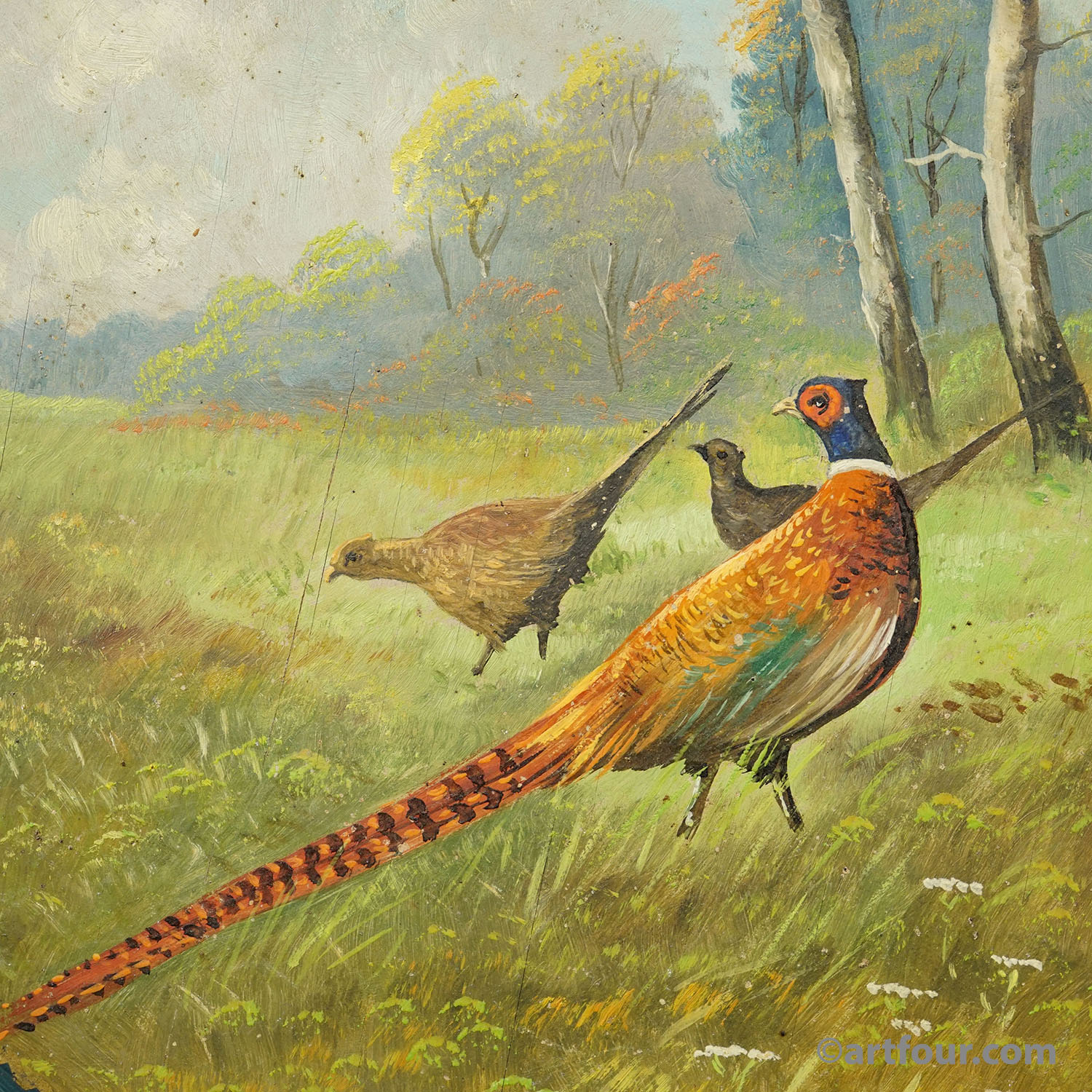 Antique Honor Target with three Pheasants, Germany ca. 1930s