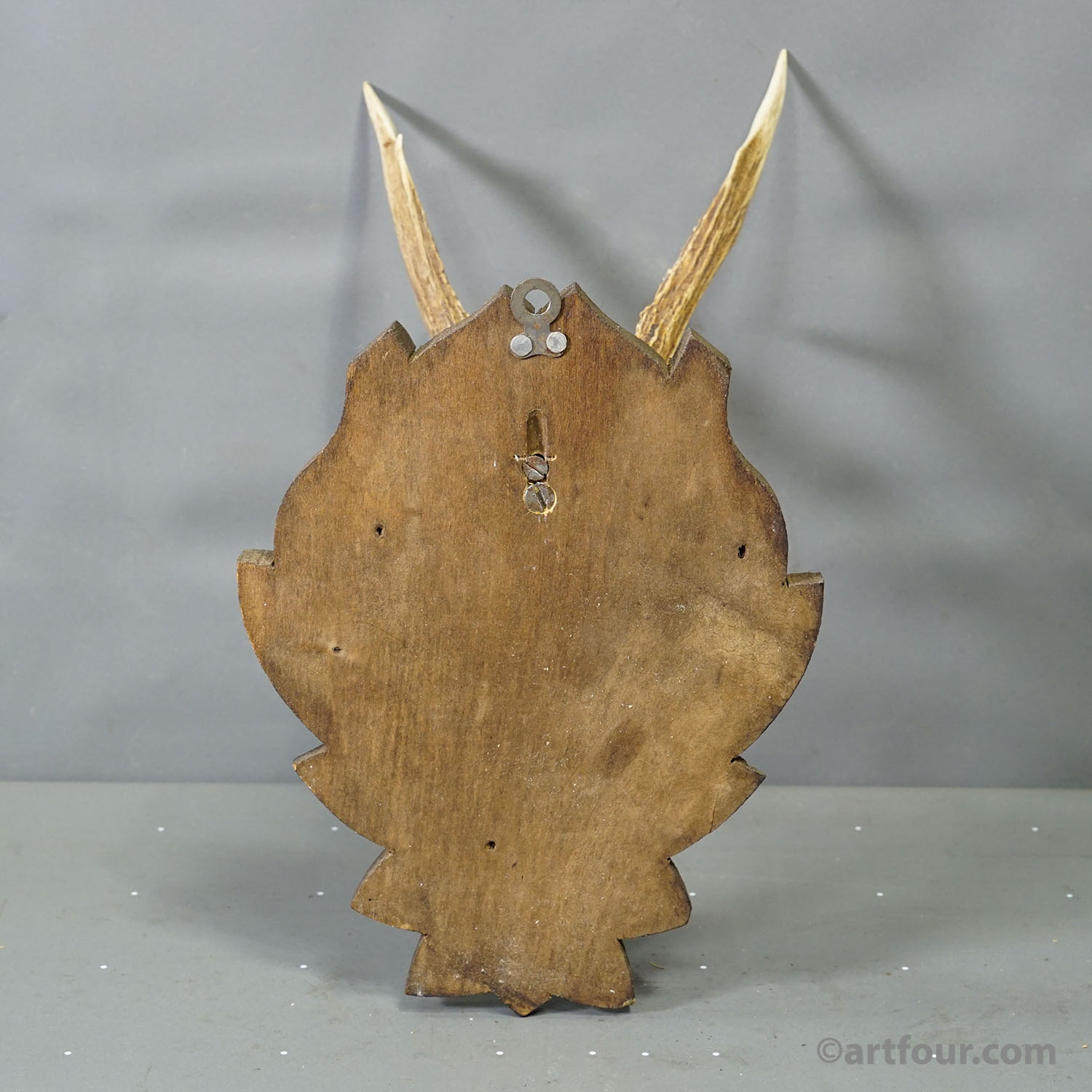 Black Forest Vintage Roe Deer Trophy on Carved Plaque 1940s
