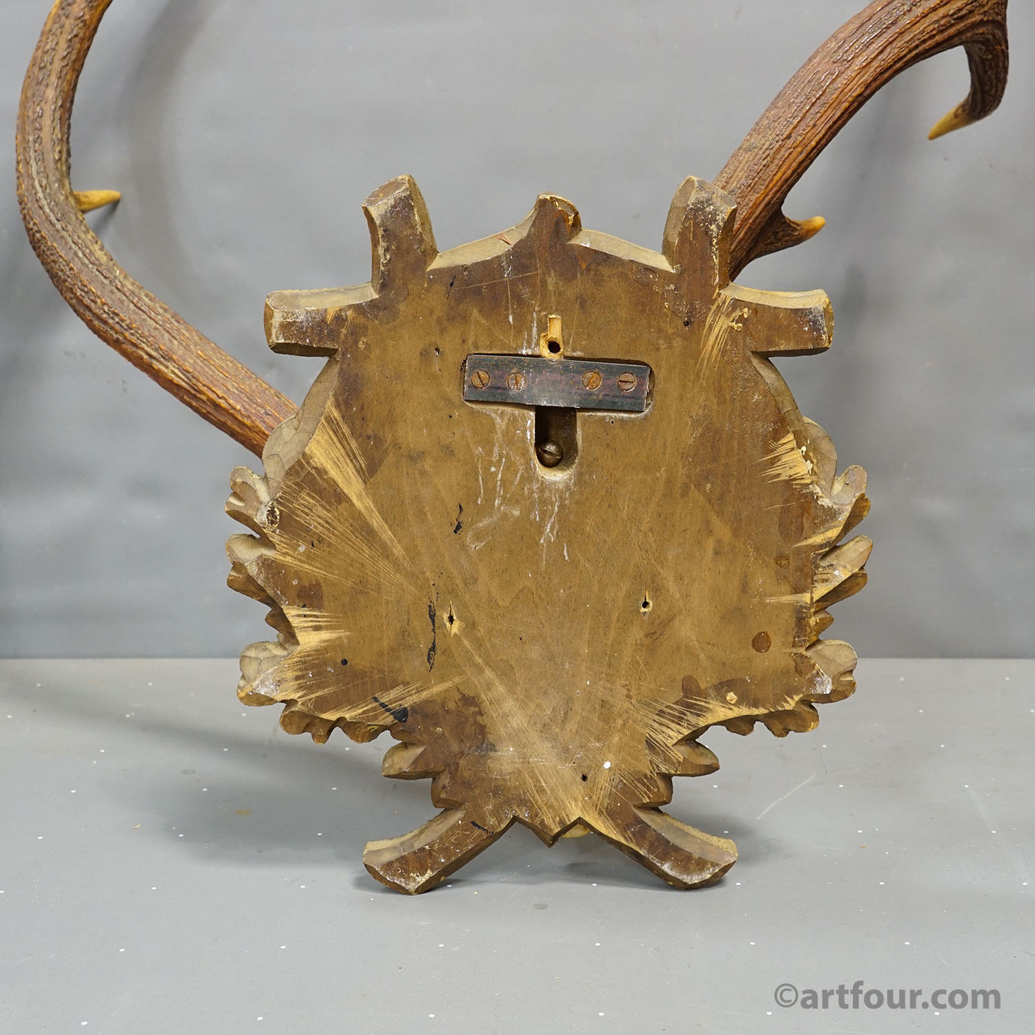 Abnorm Black Forest Red Deer Trophy on Carved Plaque Germany 1930s