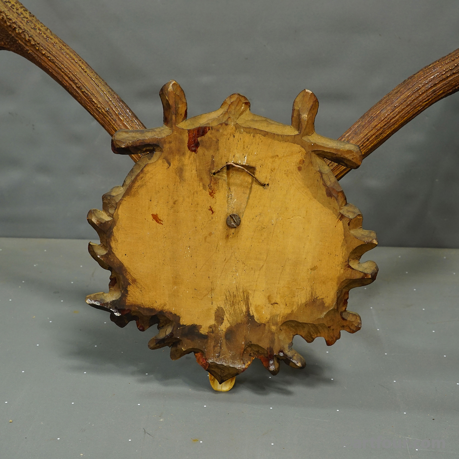 Large Black Forest Red Deer Trophy on Carved Plaque - Germany 1940s