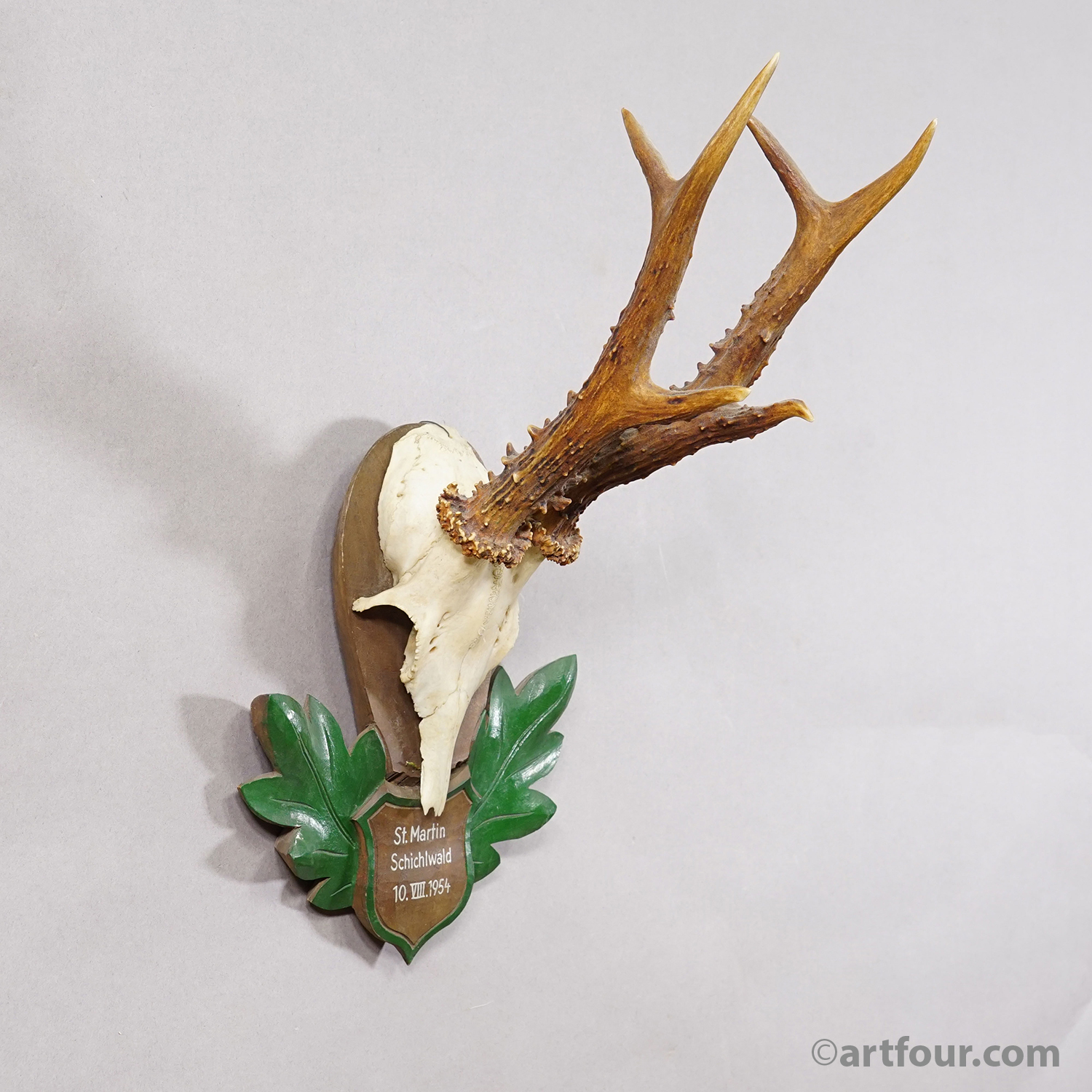 Great Black Forest Red Deer Trophy on Carved Plaque - Germany 1954