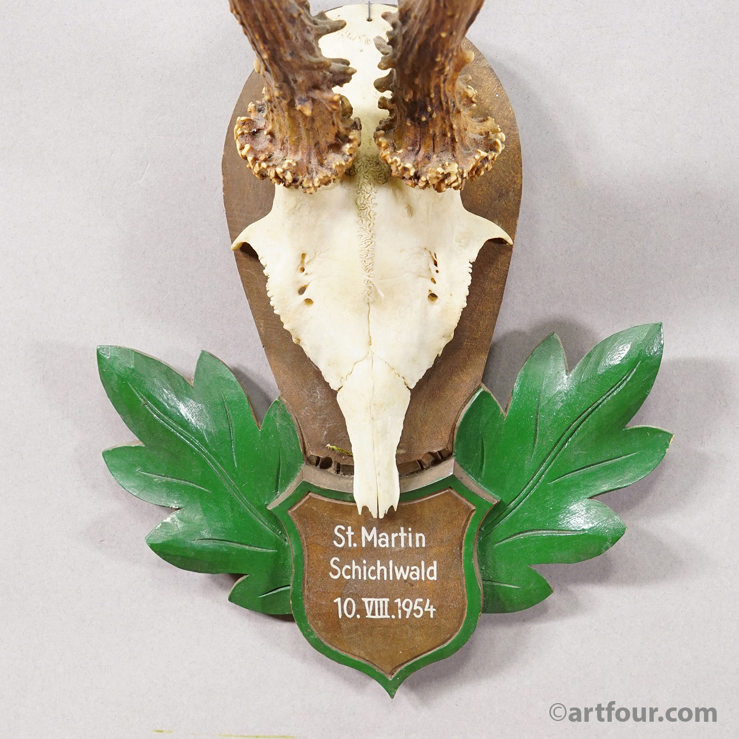 Great Black Forest Red Deer Trophy on Carved Plaque - Germany 1954