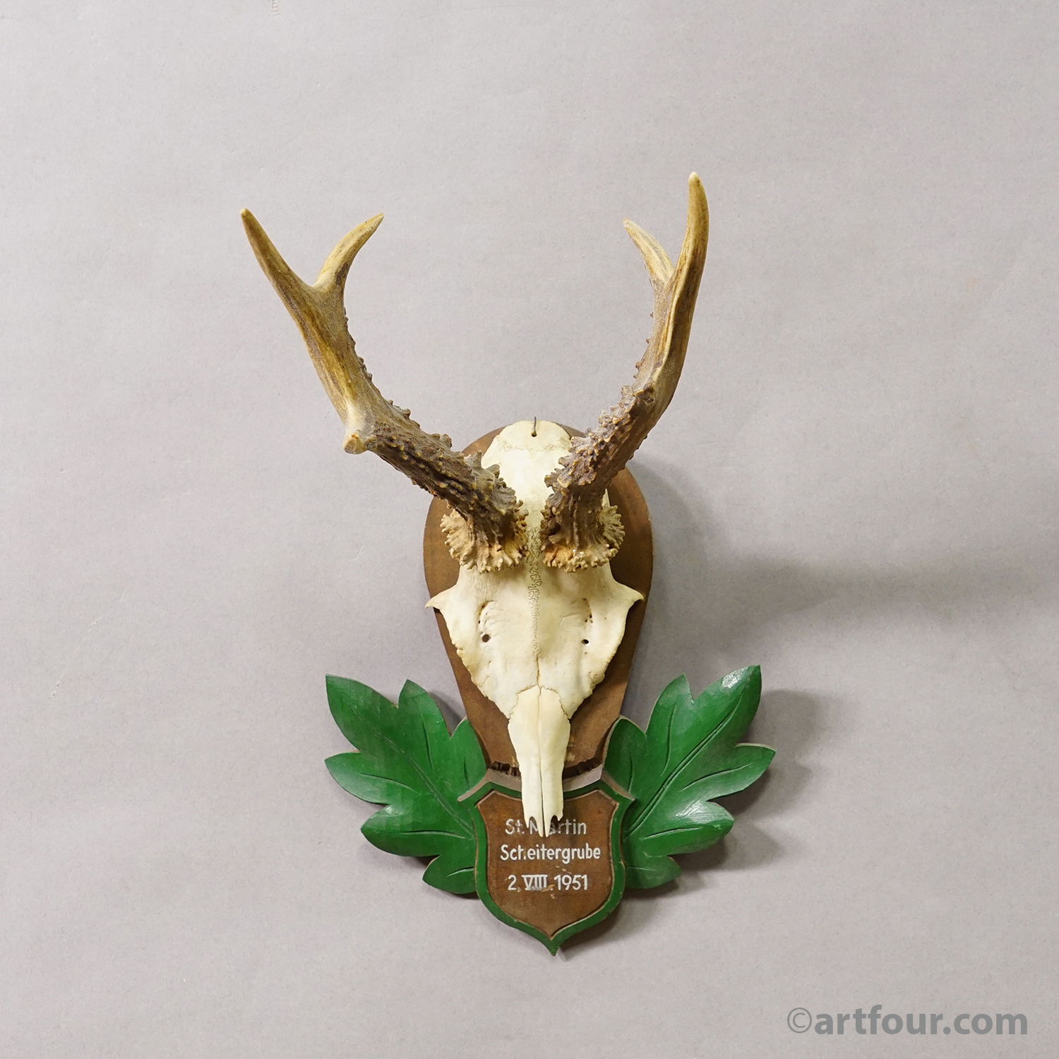 Great Black Forest Red Deer Trophy on Carved Plaque - Germany 1951