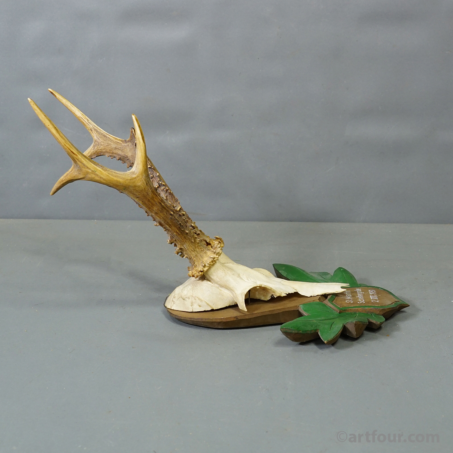 Great Black Forest Red Deer Trophy on Carved Plaque - Germany 1951