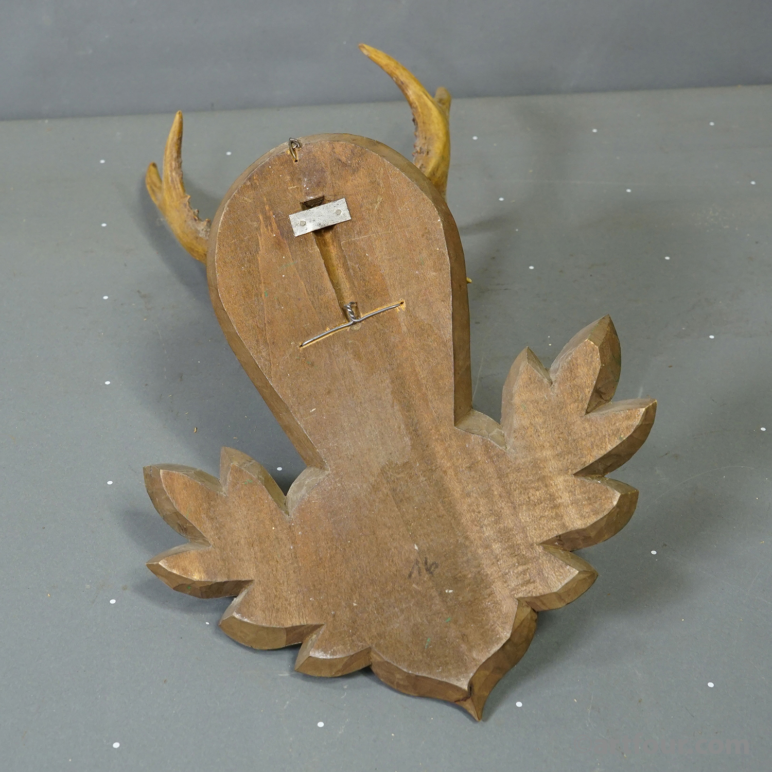 Great Black Forest Red Deer Trophy on Carved Plaque - Germany 1951