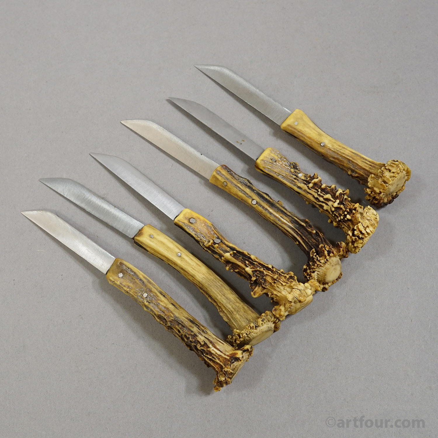 Antique Steak Knive Set with Deer Horn Handles, Solingen, 1900s