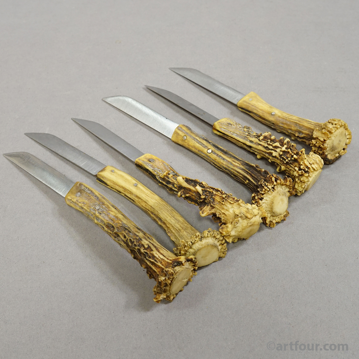 Antique Steak Knive Set with Deer Horn Handles, Solingen, 1900s