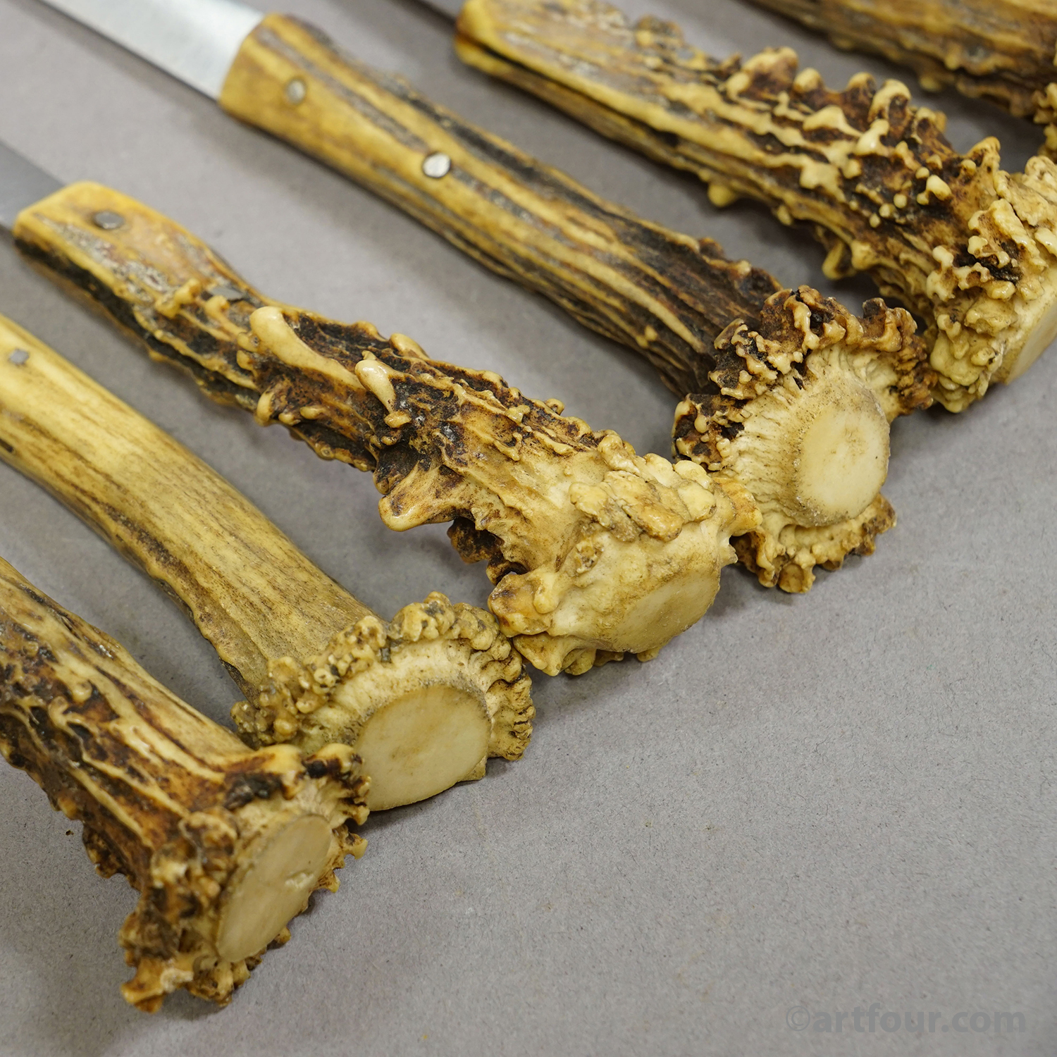 Antique Steak Knive Set with Deer Horn Handles, Solingen, 1900s