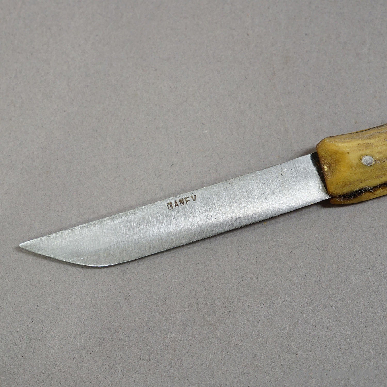 Antique Steak Knive Set with Deer Horn Handles, Solingen, 1900s