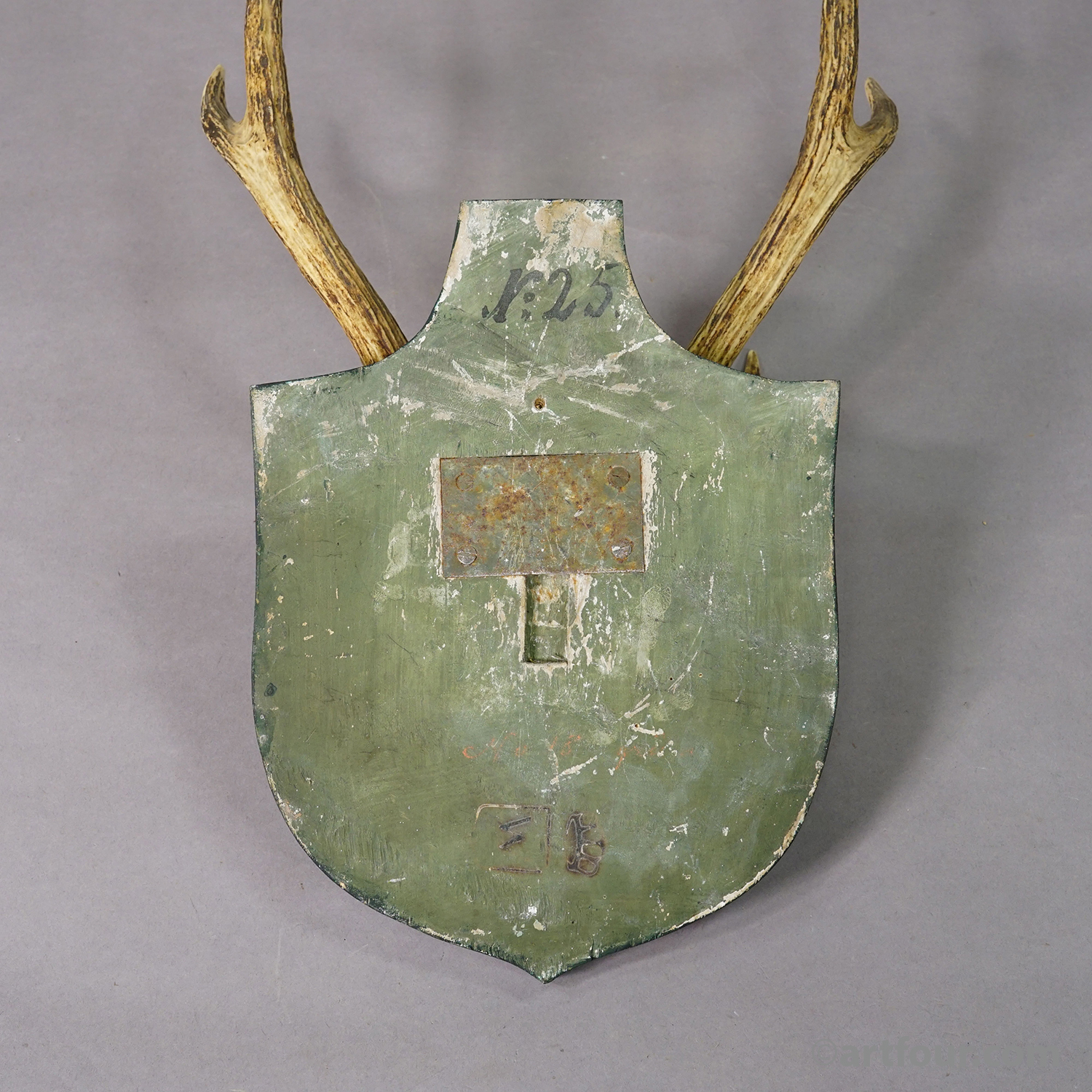 Antique Black Forest Sika Deer Trophy on Wooden Plaque - Germany ca. 1900s