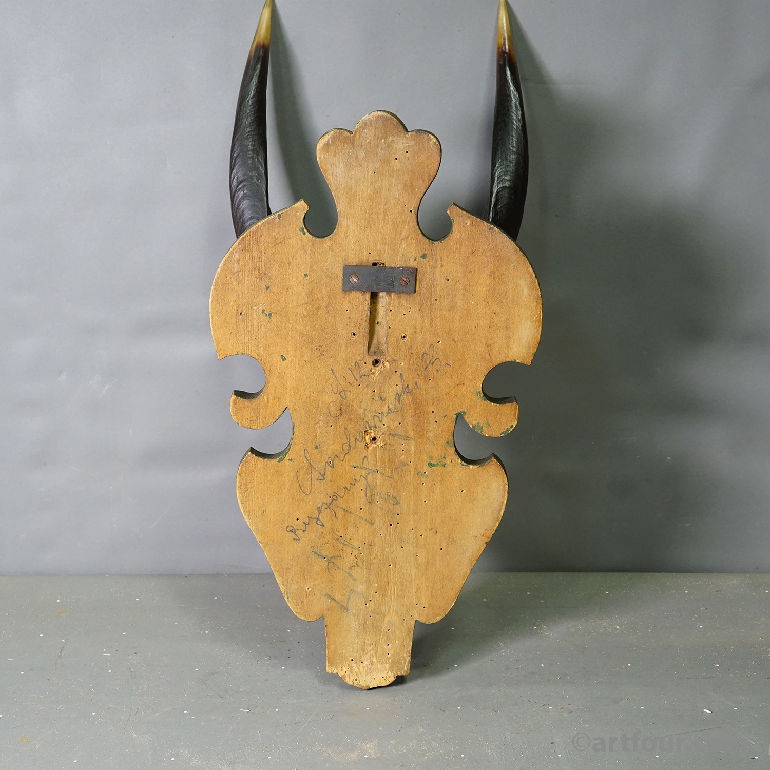 Antique Springbok Trophy on Wooden Carved Plaque, 1910