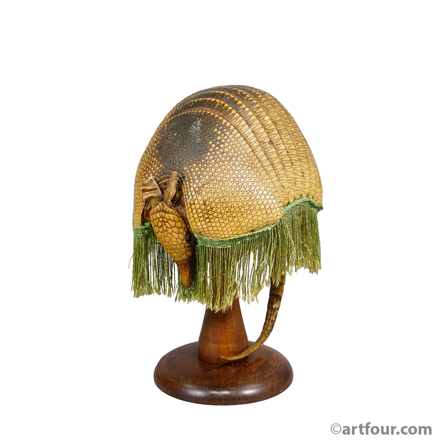 Antique Armadillo Taxidermy Table Lamp, circa 1920s