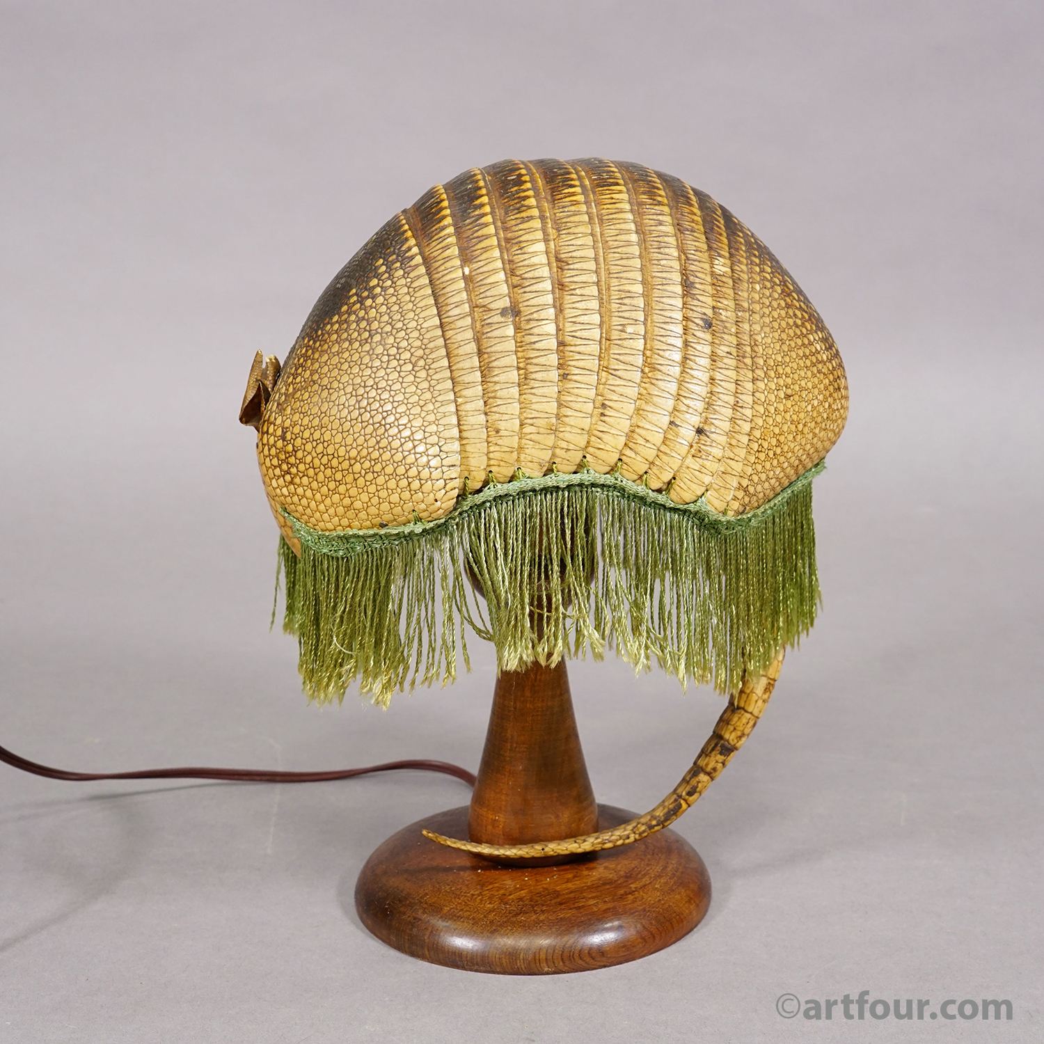 Antique Armadillo Taxidermy Table Lamp, circa 1920s