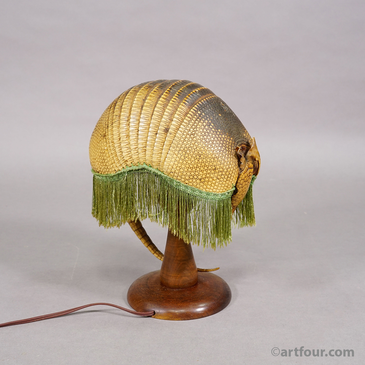 Antique Armadillo Taxidermy Table Lamp, circa 1920s