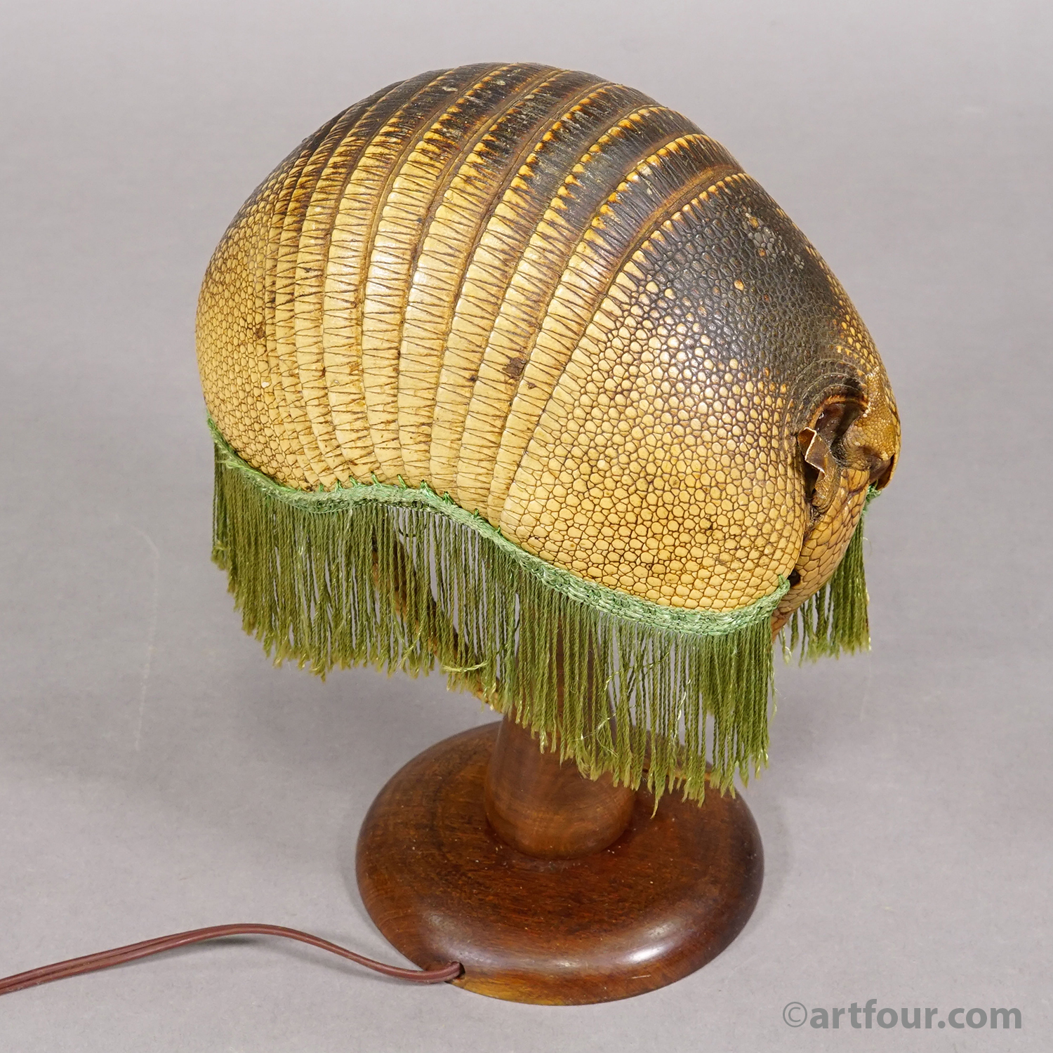 Antique Armadillo Taxidermy Table Lamp, circa 1920s