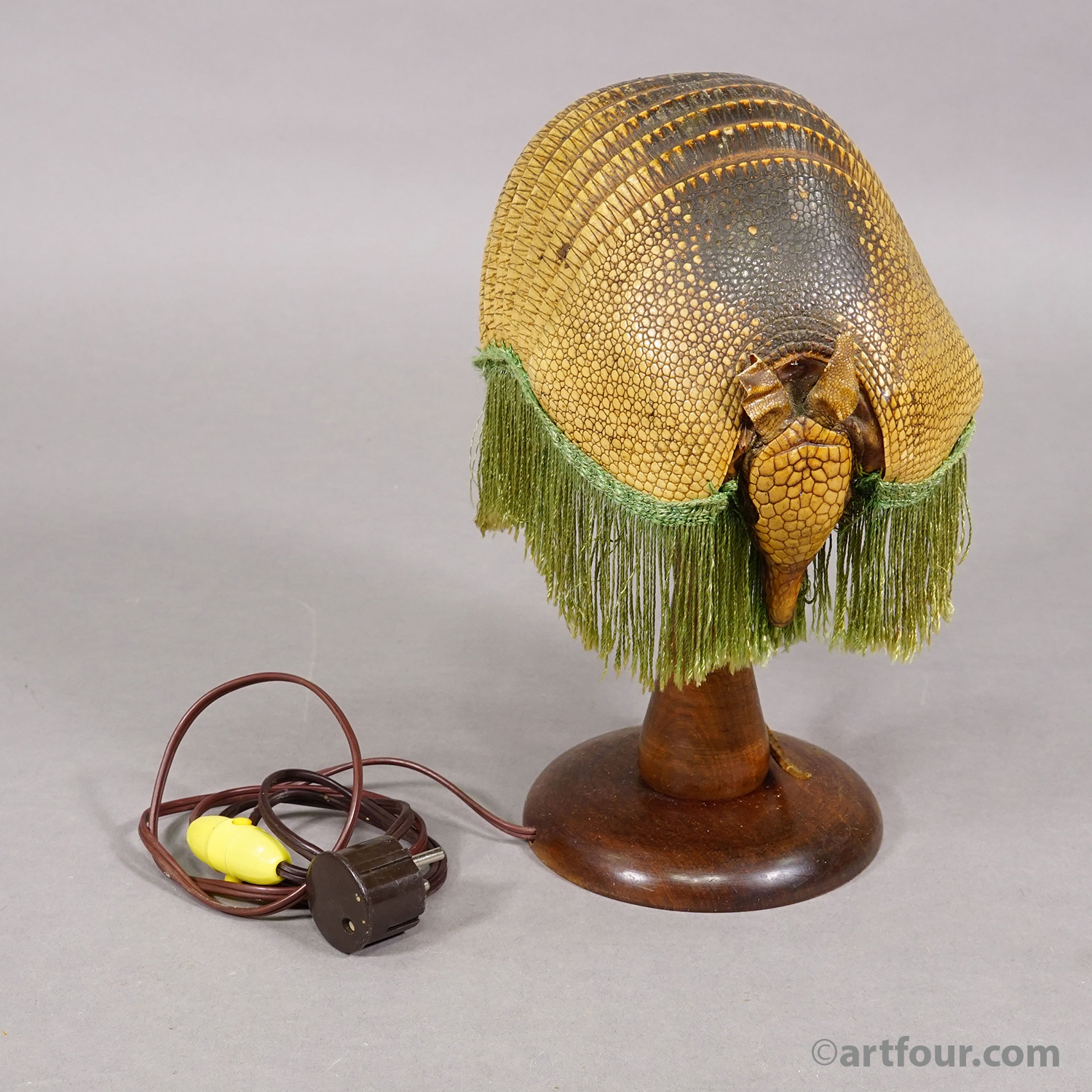 Antique Armadillo Taxidermy Table Lamp, circa 1920s
