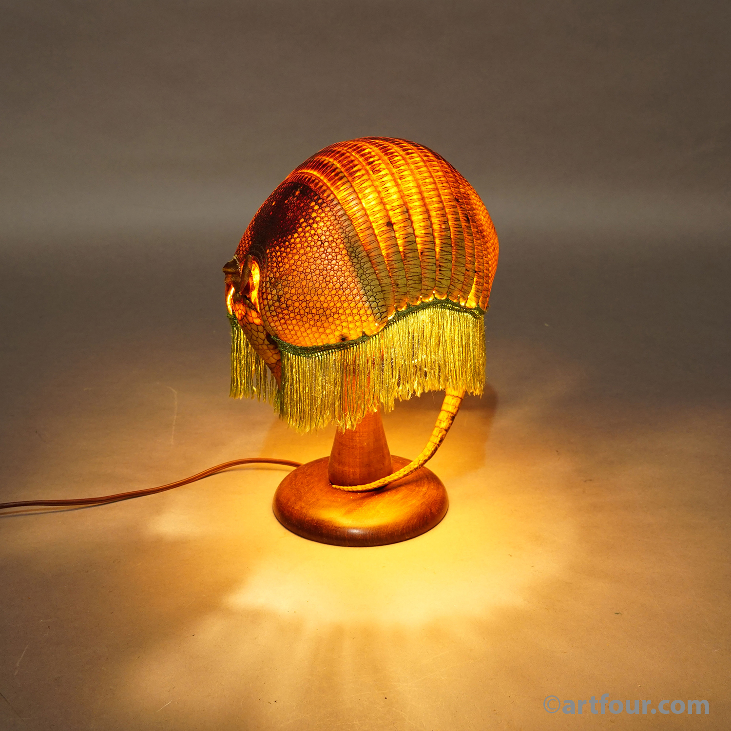 Antique Armadillo Taxidermy Table Lamp, circa 1920s