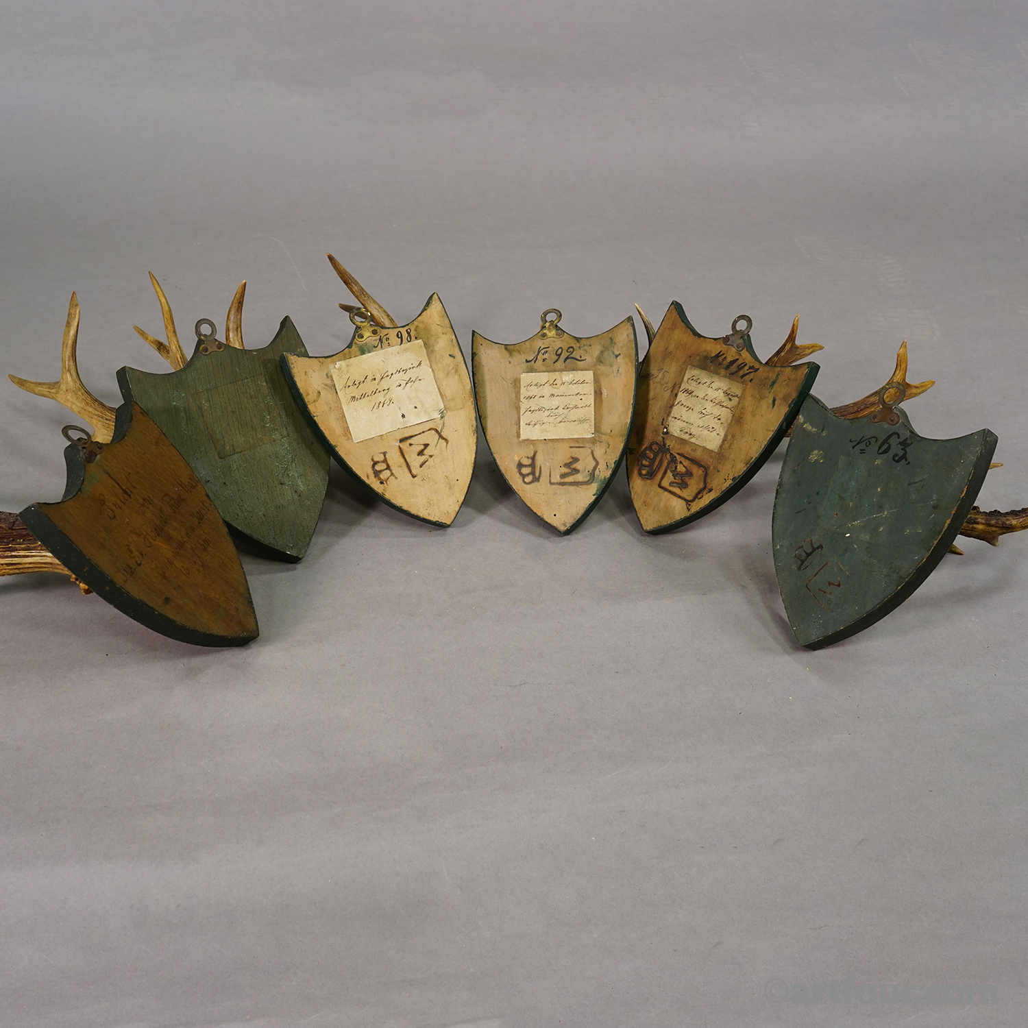 Set of Six Roe Deer Trophies on Wooden Plaques Salem Germany ca.1860