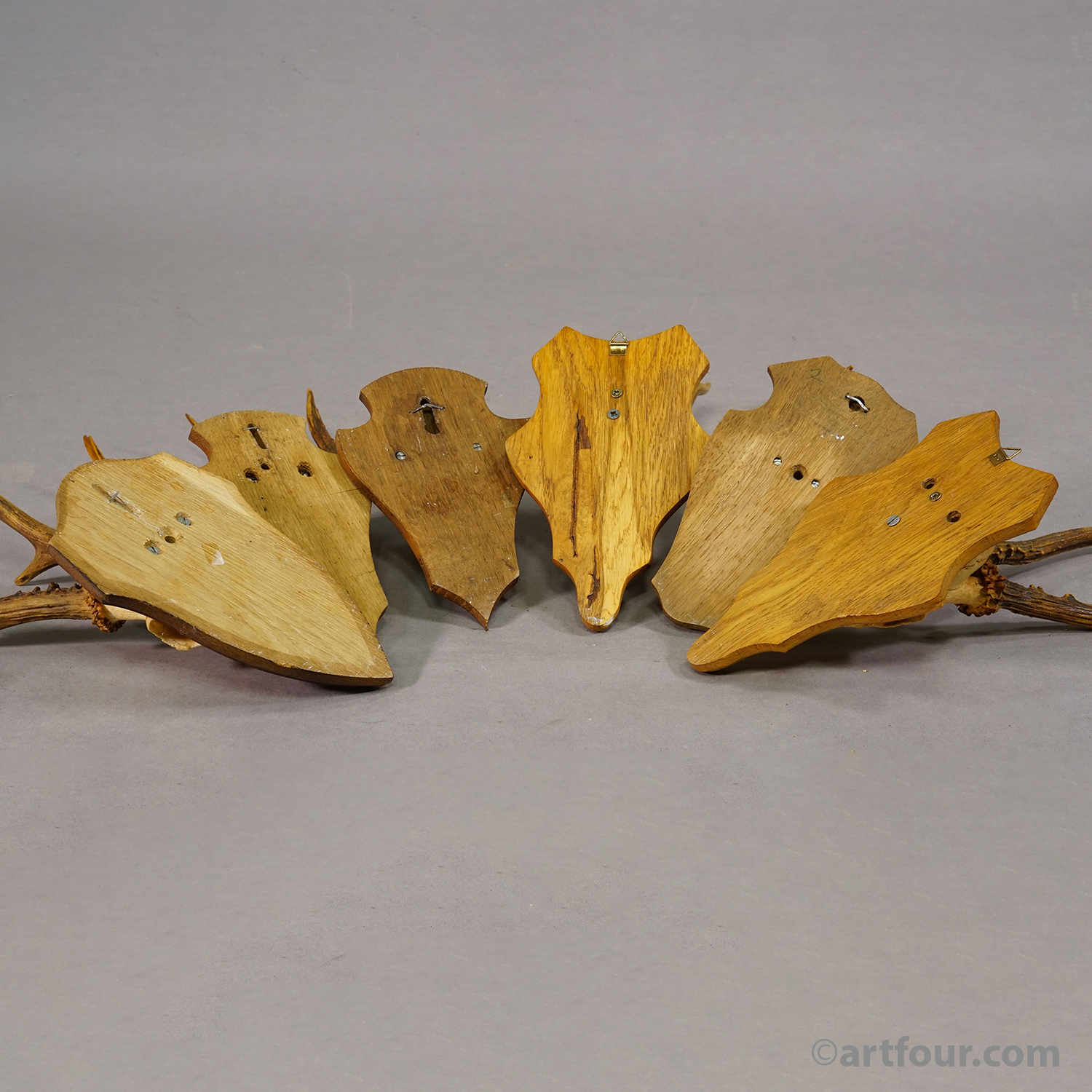 Vintage Set of Six Roe Deer Trophies on Wooden Plaques Germany ca.1960s