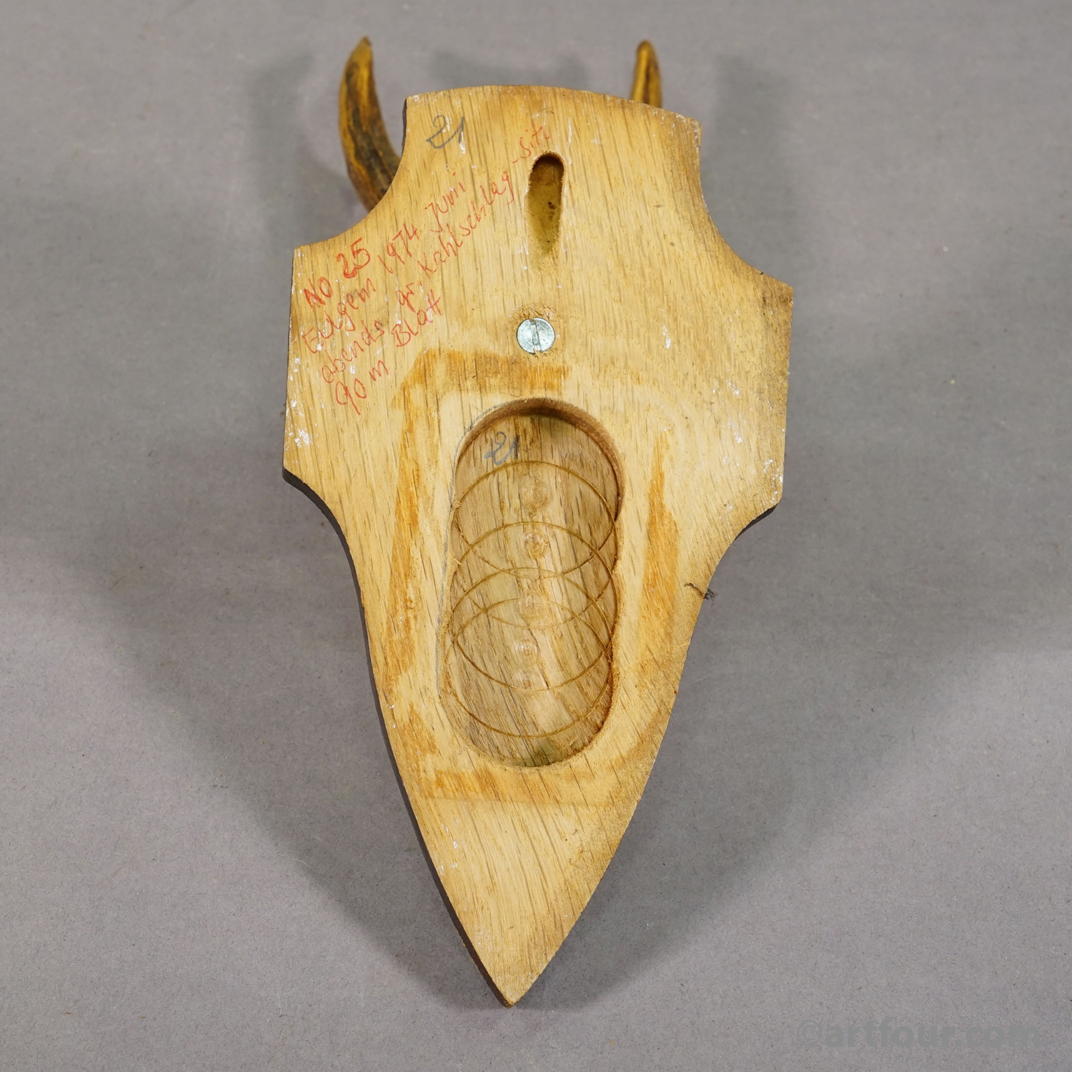 Vintage Set of Six Roe Deer Trophies on Wooden Plaques Germany ca.1960/70s