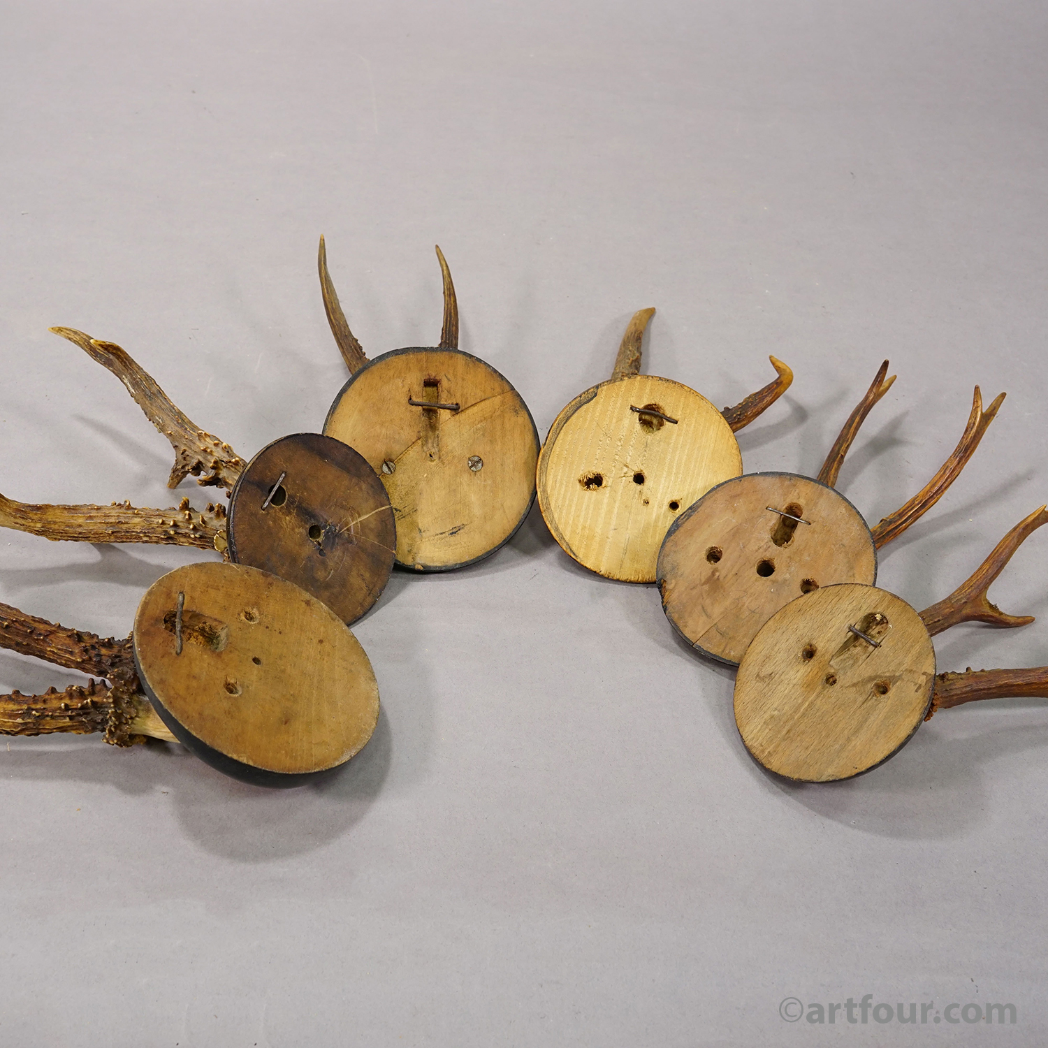 Set of Six Roe Deer Trophies on Turned Plaques Germany ca. 1900s