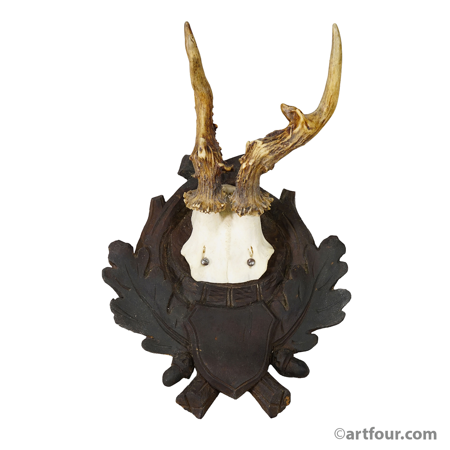 Antique Abnorm Red Deer Trophy on Carved Plaque, Black Forest Germany, ca. 1900