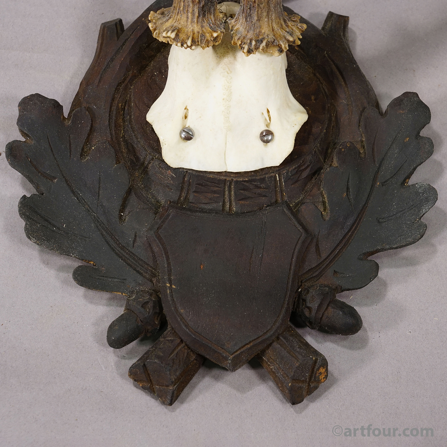 Antique Abnorm Red Deer Trophy on Carved Plaque, Black Forest Germany, ca. 1900