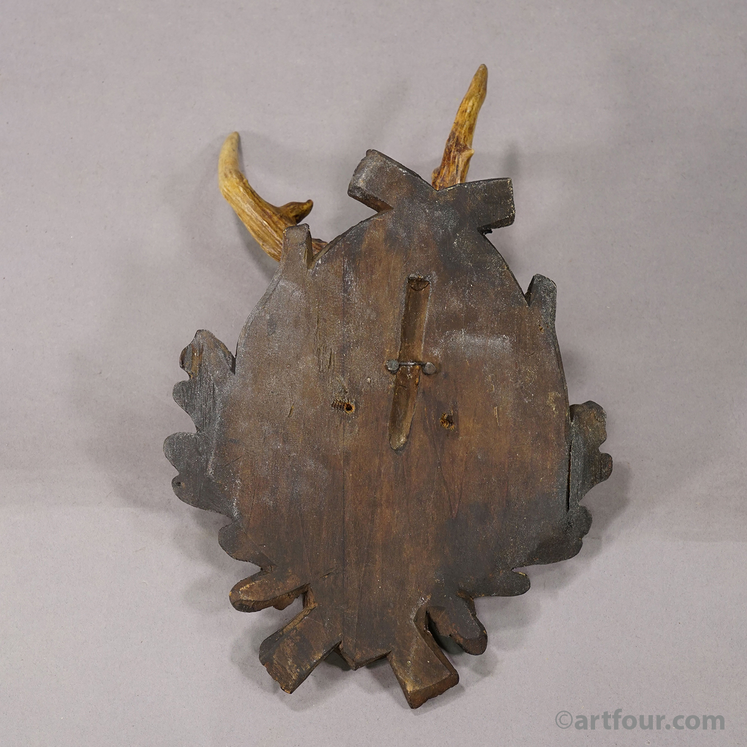 Antique Abnorm Red Deer Trophy on Carved Plaque, Black Forest Germany, ca. 1900