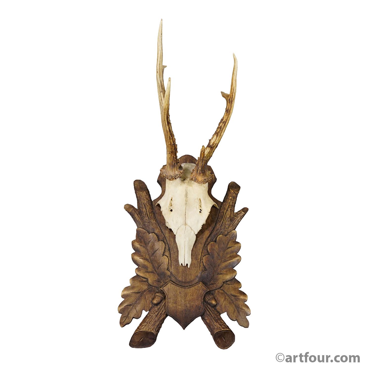 Antique Black Fores Red Deer Trophy on Carved Plaque, Germany, ca. 1920s