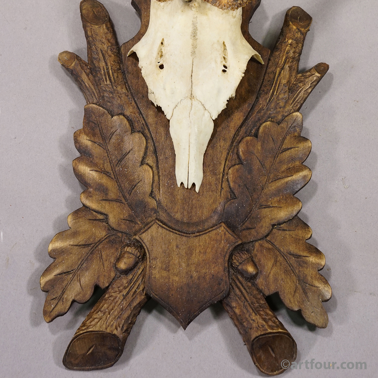 Antique Black Fores Red Deer Trophy on Carved Plaque, Germany, ca. 1920s
