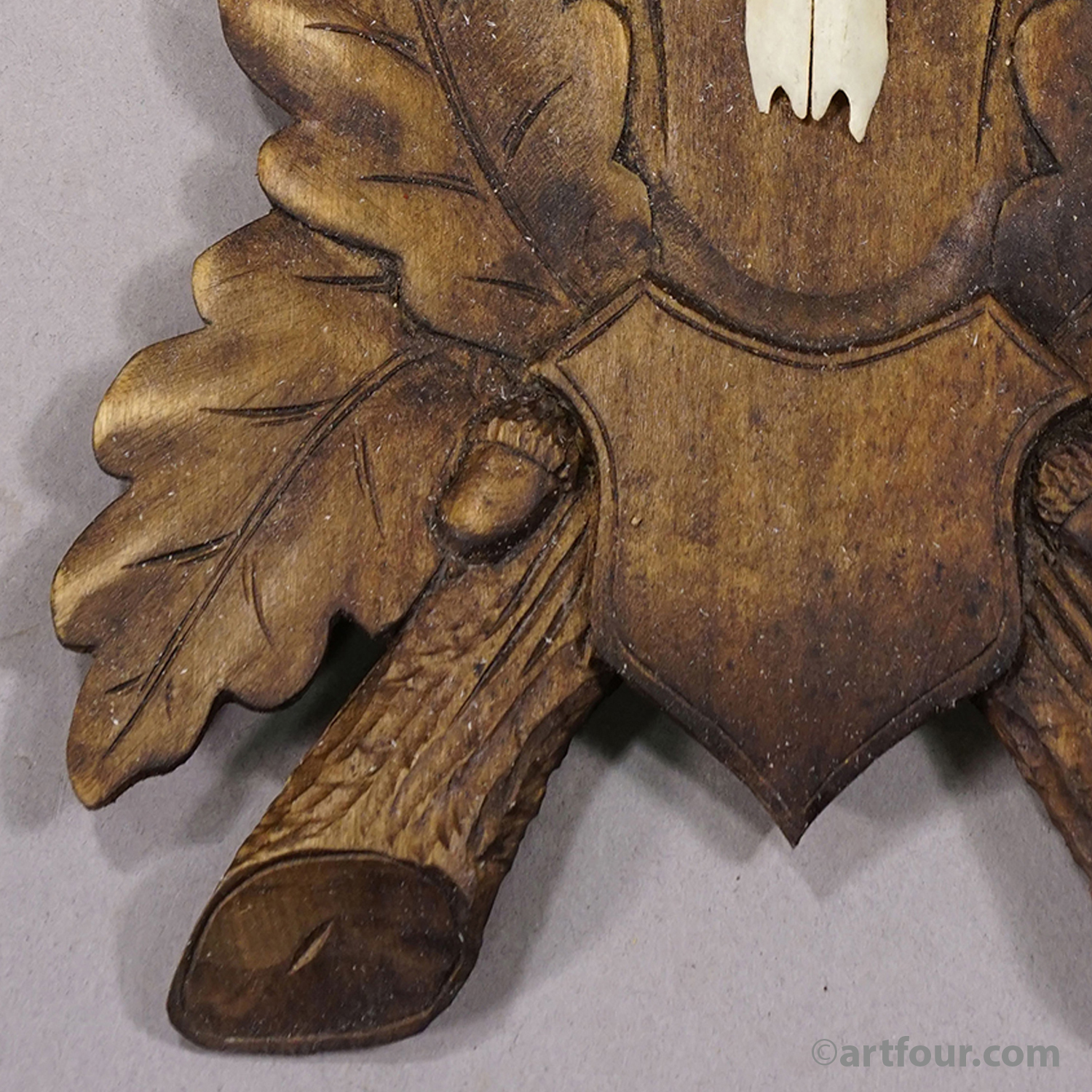 Antique Black Fores Red Deer Trophy on Carved Plaque, Germany, ca. 1920s