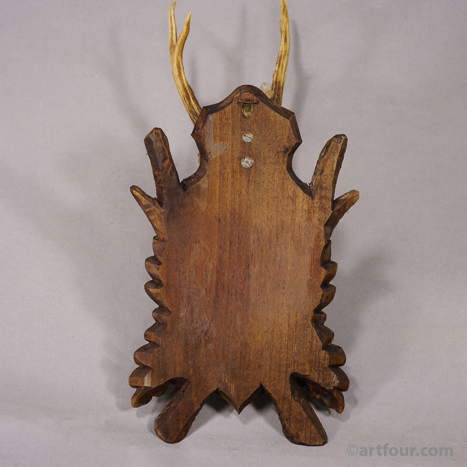 Antique Black Fores Red Deer Trophy on Carved Plaque, Germany, ca. 1920s