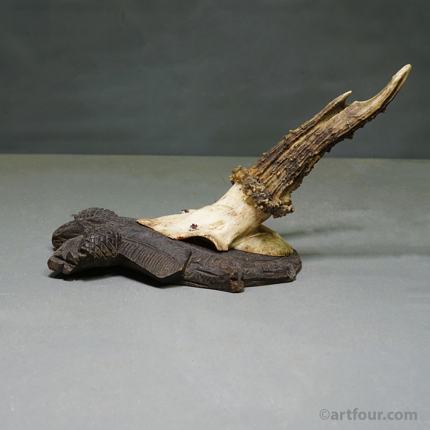 Black Forest Antique Red Deer Trophy on Carved Plaque Germany 1920s