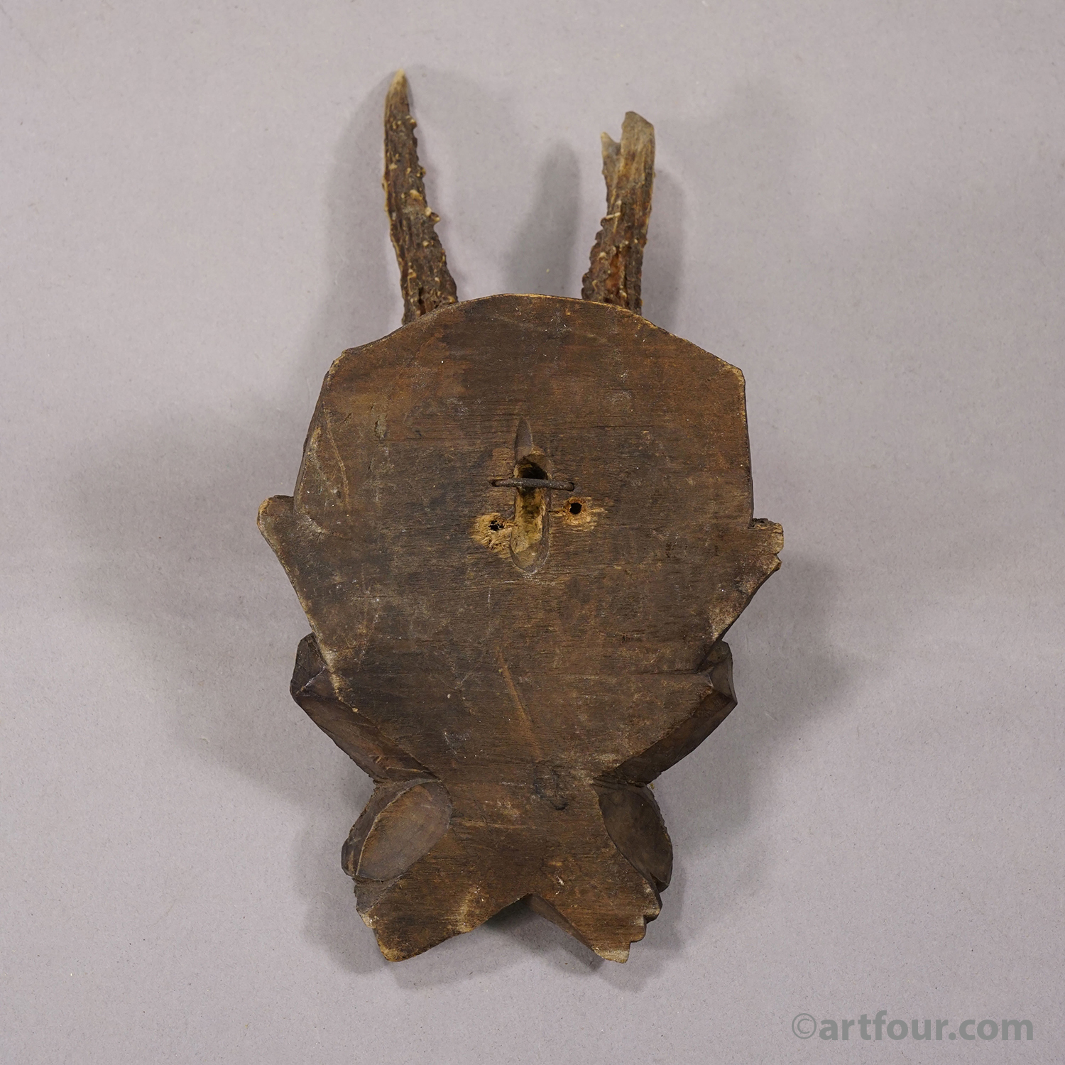 Black Forest Antique Red Deer Trophy on Carved Plaque Germany 1920s