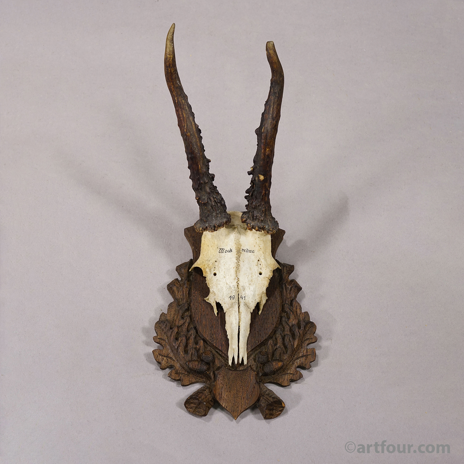 Vintage Black Forest Red Deer Trophy on Carved Plaque, Germany 1941