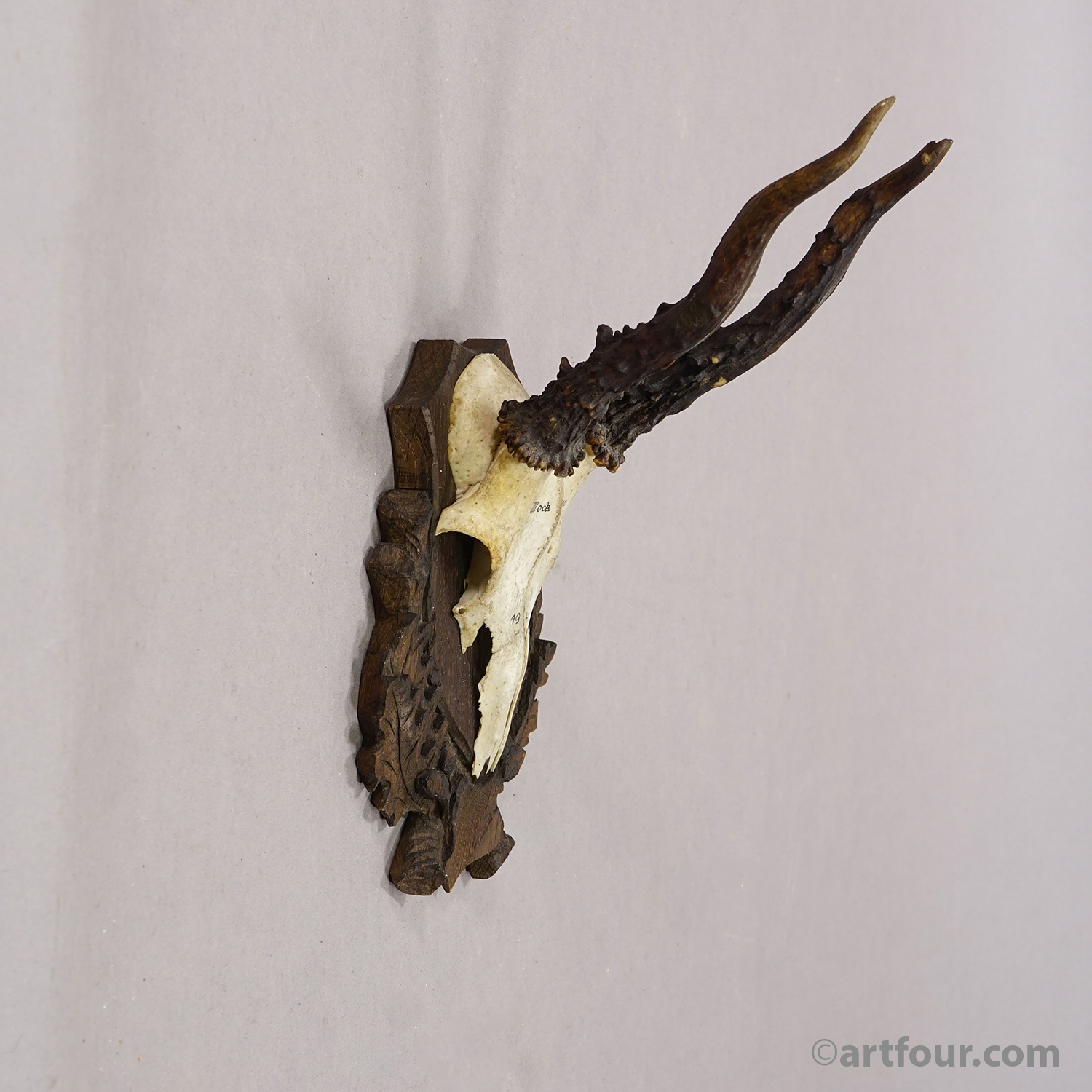 Vintage Black Forest Red Deer Trophy on Carved Plaque, Germany 1941