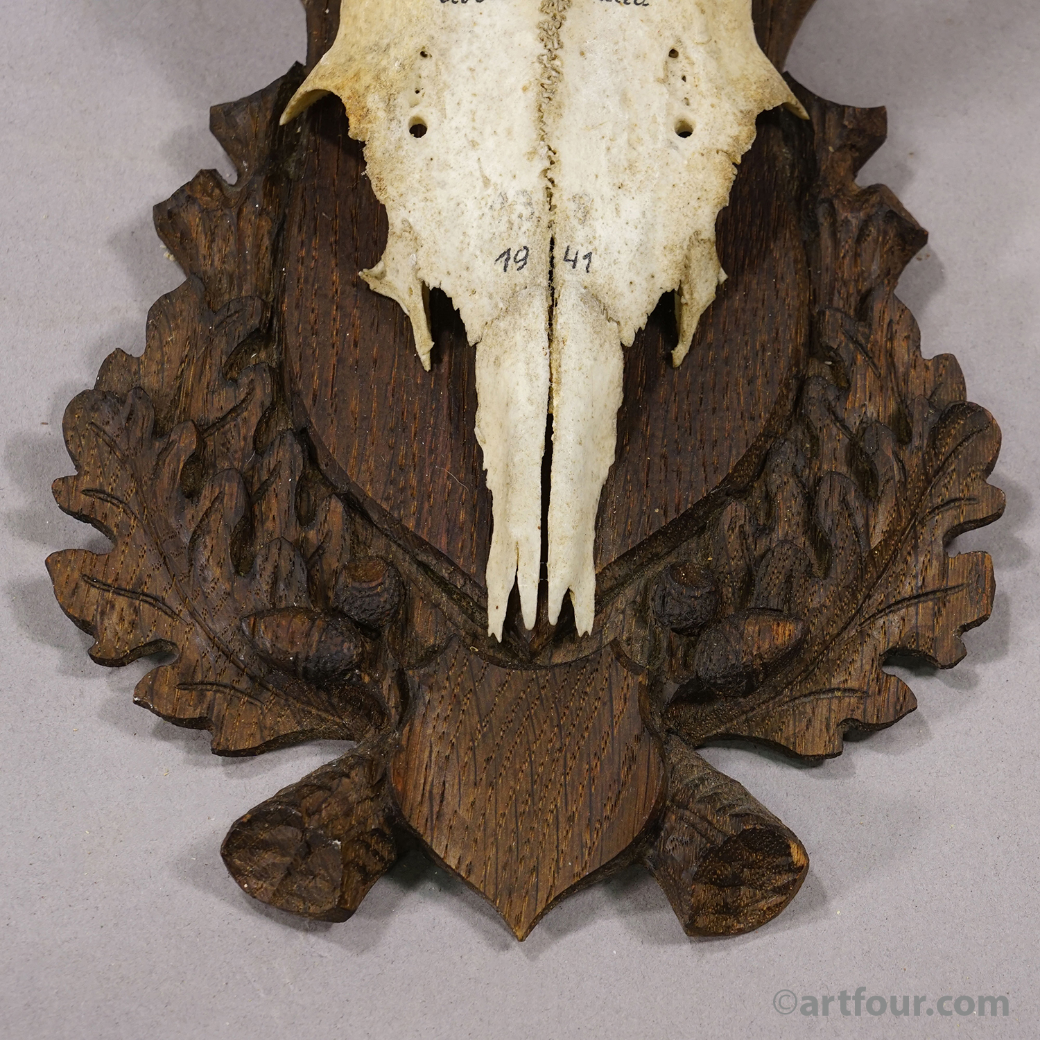Vintage Black Forest Red Deer Trophy on Carved Plaque, Germany 1941