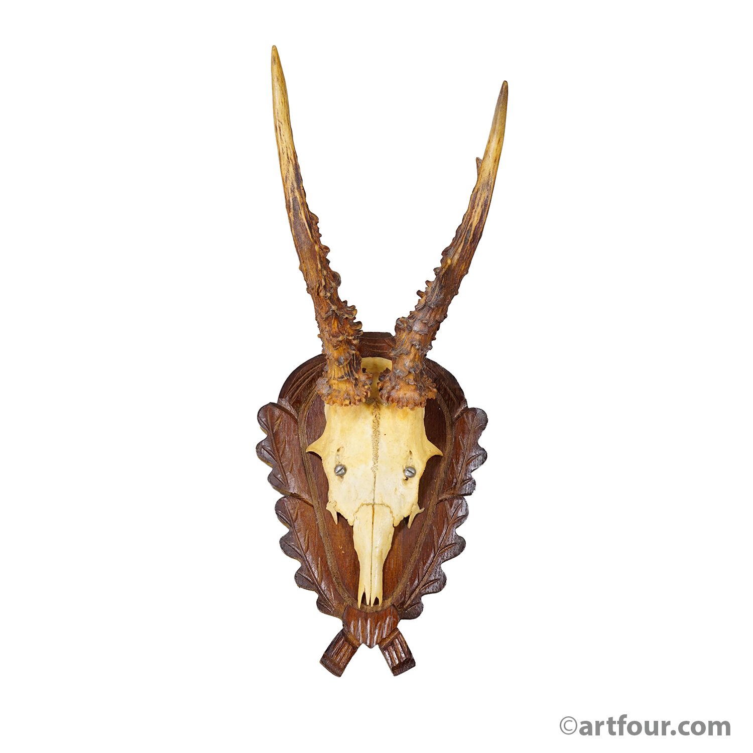 Vintage Black Forest Red Deer Trophy on Carved Plaque, Germany 1950s