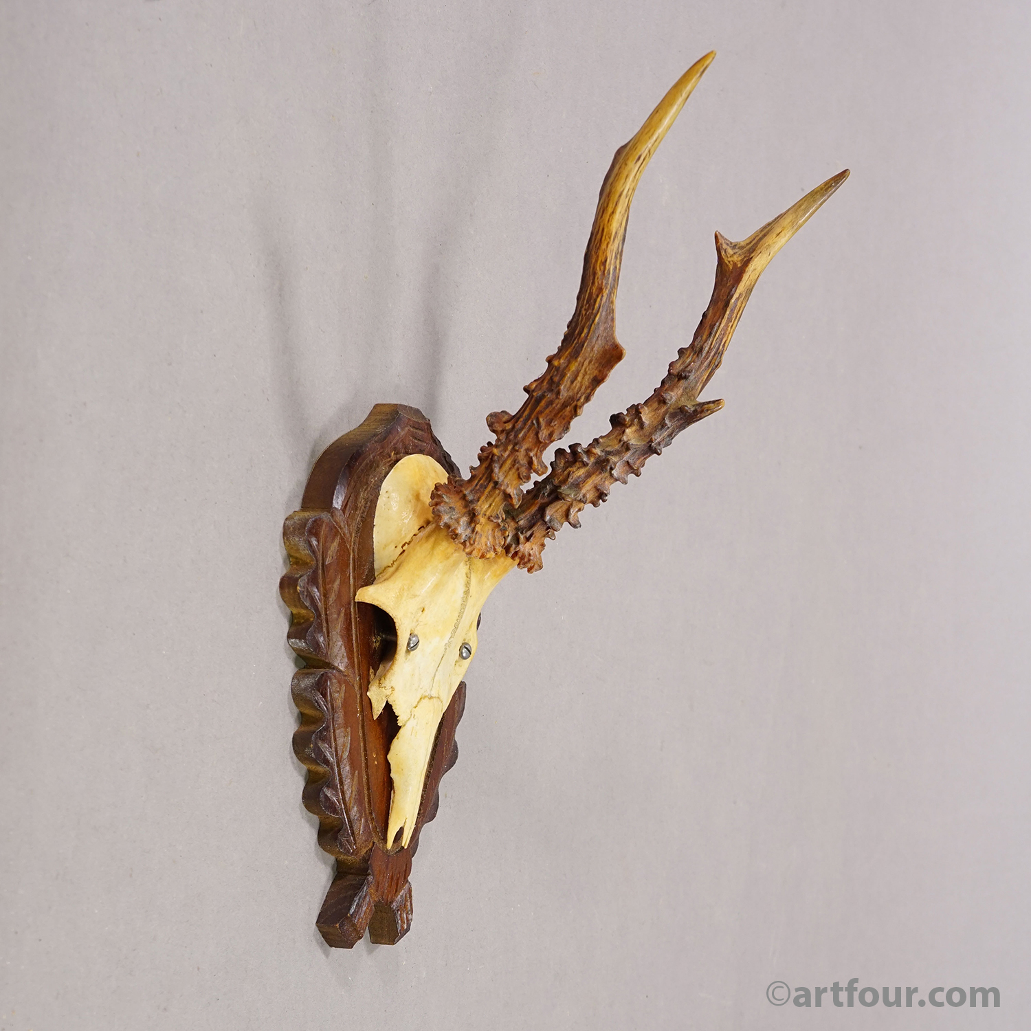 Vintage Black Forest Red Deer Trophy on Carved Plaque, Germany 1950s