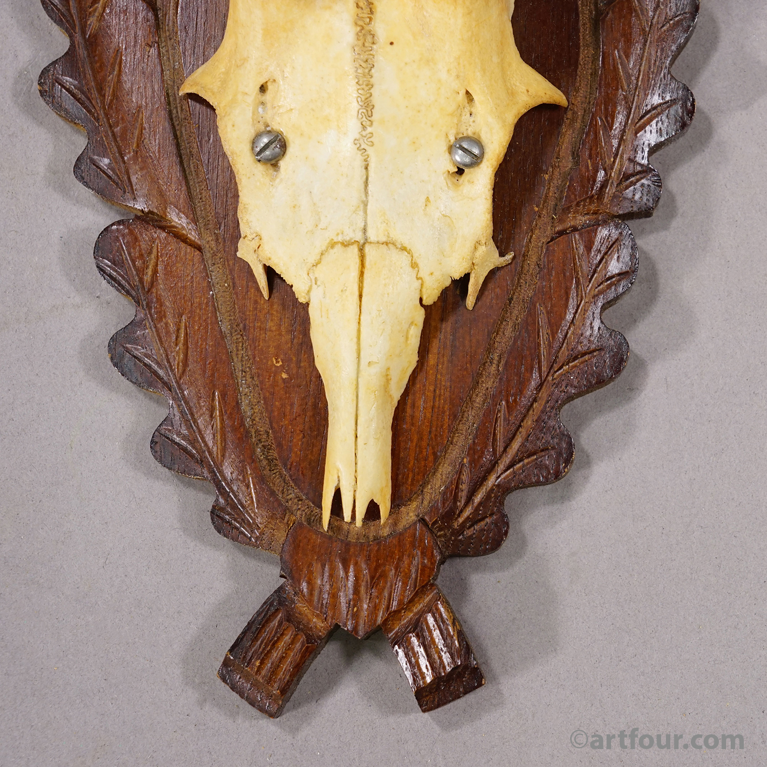 Vintage Black Forest Red Deer Trophy on Carved Plaque, Germany 1950s