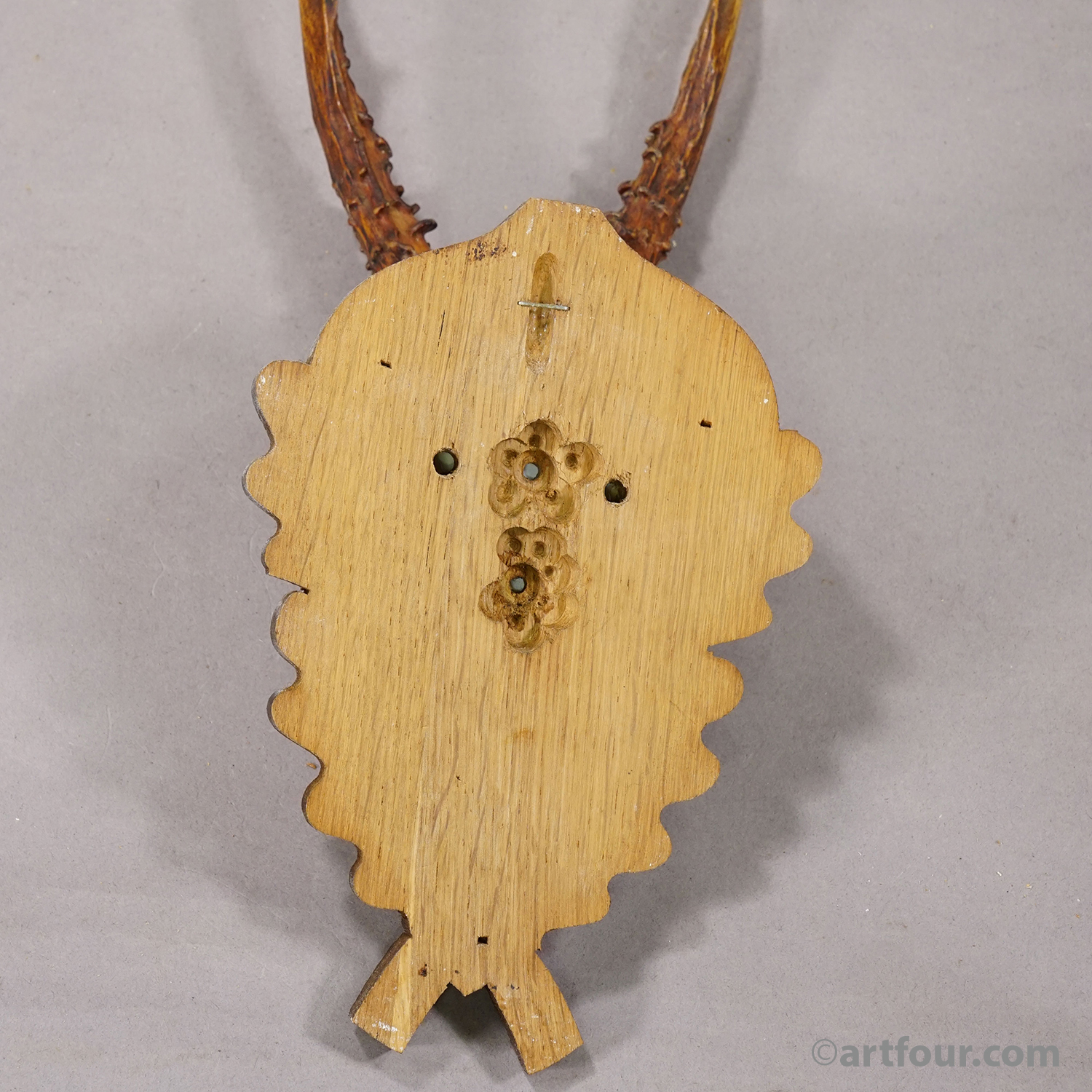 Vintage Black Forest Red Deer Trophy on Carved Plaque, Germany 1950s