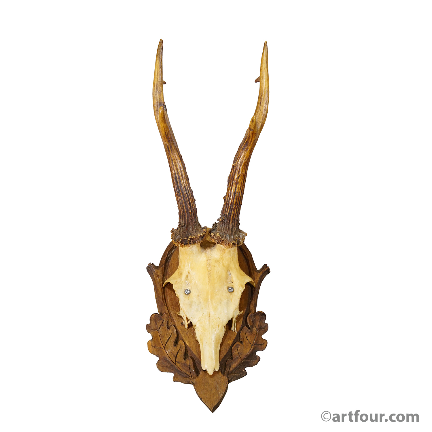 Vintage Black Forest Red Deer Trophy on Carved Plaque, Germany 1950s