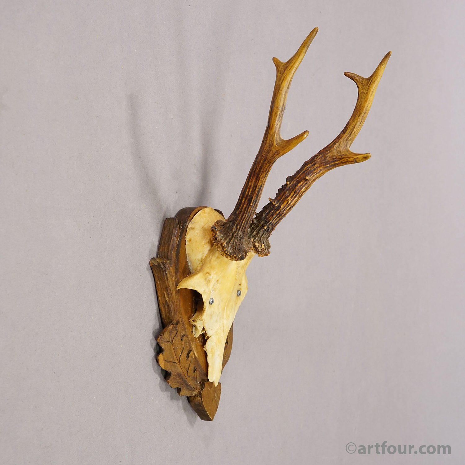 Vintage Black Forest Red Deer Trophy on Carved Plaque, Germany 1950s