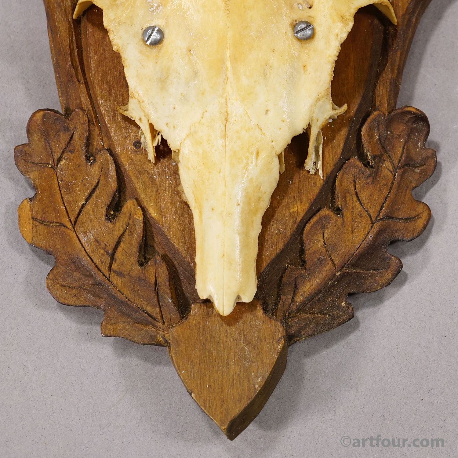 Vintage Black Forest Red Deer Trophy on Carved Plaque, Germany 1950s