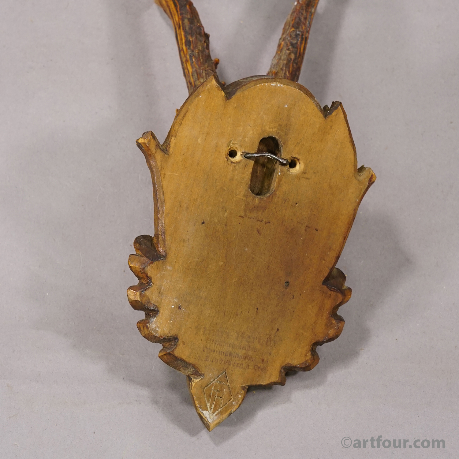 Vintage Black Forest Red Deer Trophy on Carved Plaque, Germany 1950s